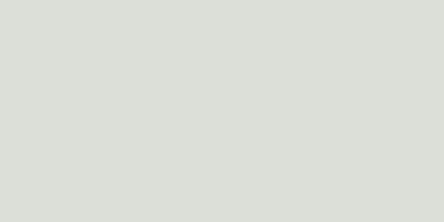 silver_fern