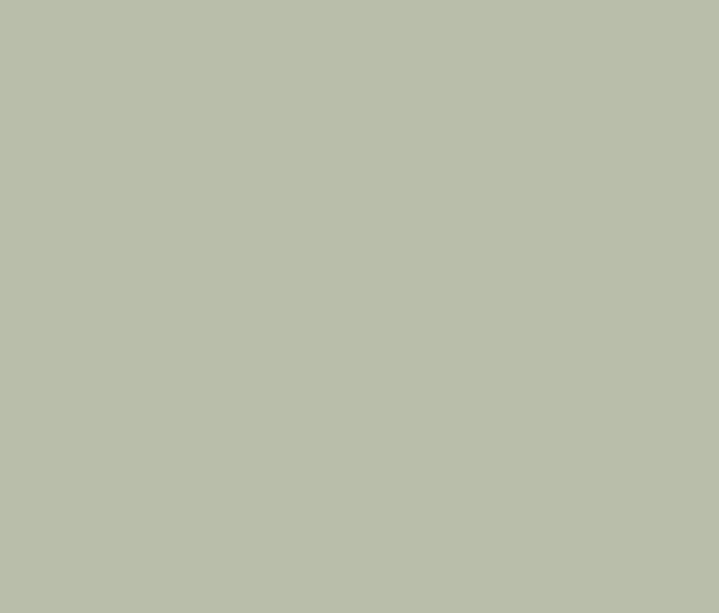 Farrow and Ball Pigeon
