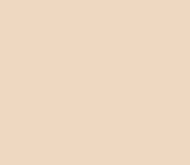 Farrow and Ball Setting Plaster